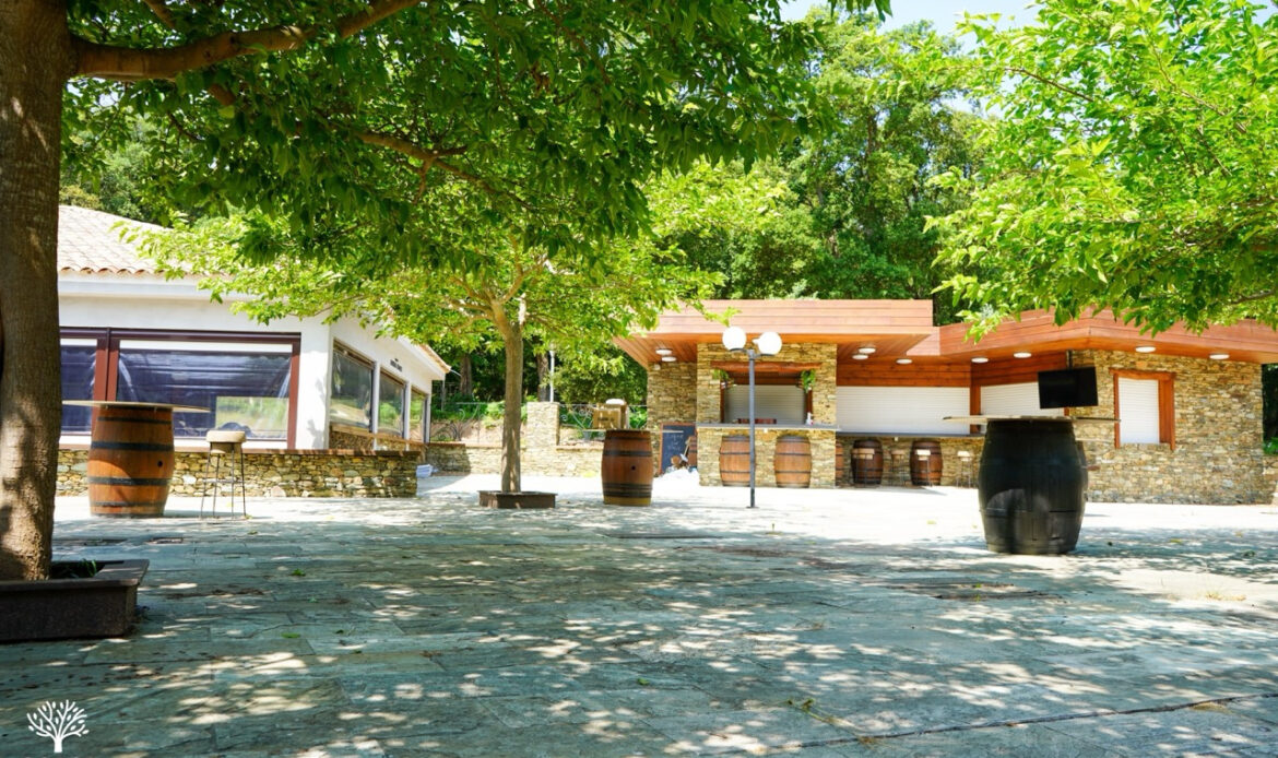 a0244b31.jpg